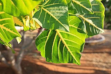 VISUAL ARTS老社长隐退 股权转让至腾讯旗下